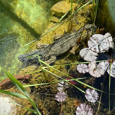 Farben Haus ホームステイ Kail