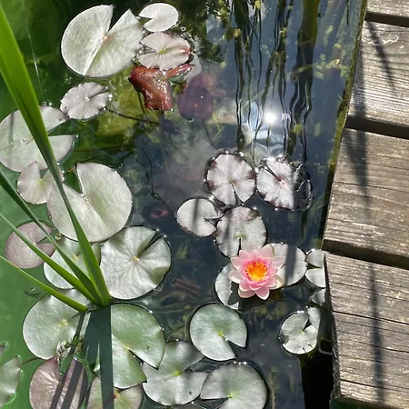 Privat bolig Farben Haus Kail