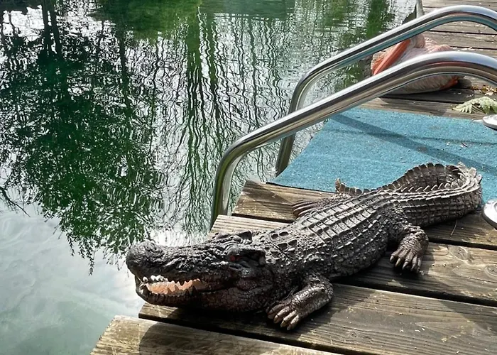 Accommodatie bij particulieren Farben Haus Kail