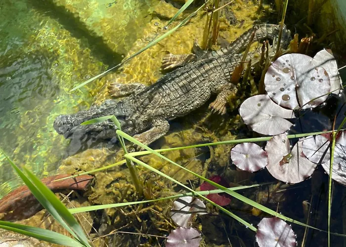 Farben Haus Accommodatie bij particulieren Kail
