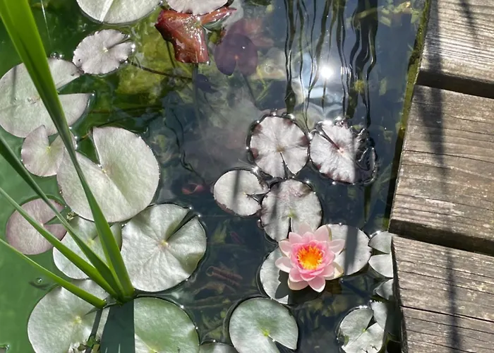 民宿 Farben Haus Kail